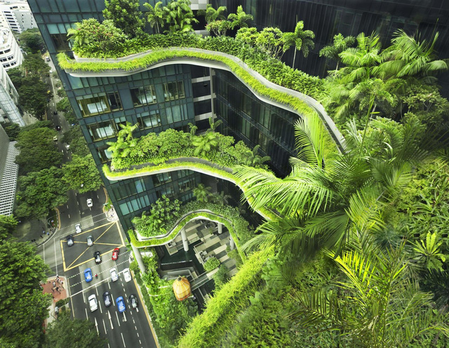 Những công trình xanh phủ khắp Singapore…