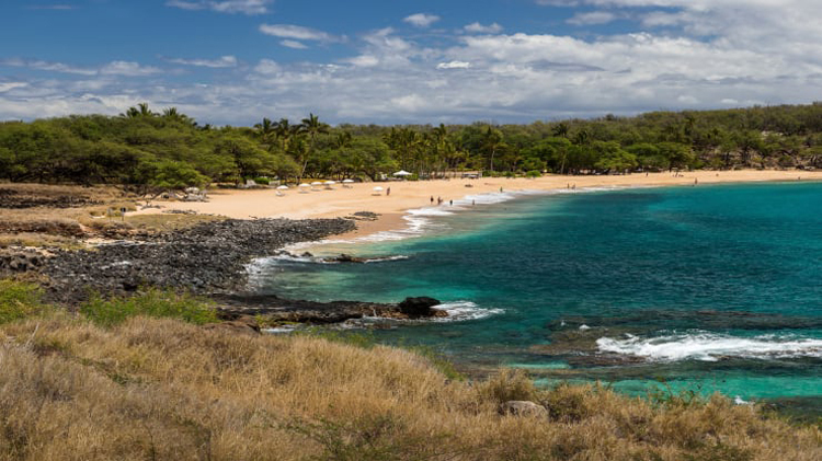 Lanai, một hòn đảo nằm trong quần đảo Hawaii thuộc sở hữu của tỷ phú Larry Ellison. Ảnh: Shutterstock.