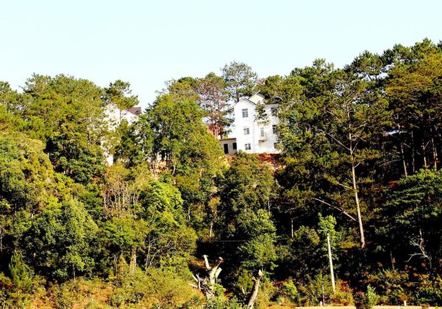  Phát hiện hàng loạt biệt thự, homestay chiếm đất rừng ở Măng Đen  - Ảnh 1.