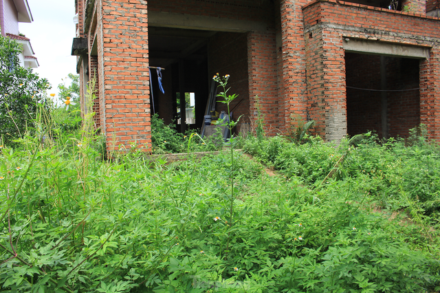Bắc Ninh: Căn biệt thự tiền tỷ bỏ hoang biến thành nơi nuôi gà nhiều năm - Ảnh 13.