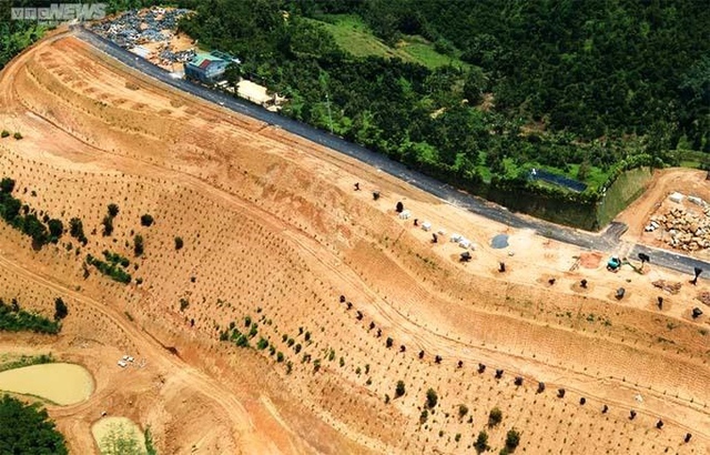 Những đồi xanh ở Lâm Đồng lại âm ỉ vì phân lô bán nền - Ảnh 19.
