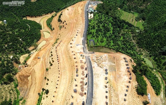 Những đồi xanh ở Lâm Đồng lại âm ỉ vì phân lô bán nền - Ảnh 13.