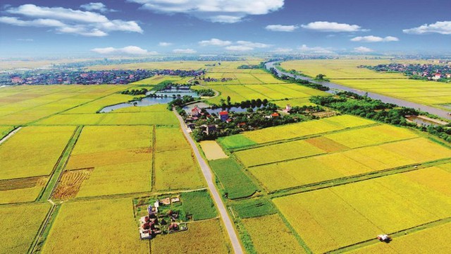     Quảng Nam khai tử 2 dự án hơn 5.400 tỷ đồng - Ảnh 1.