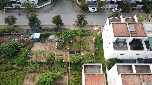 Khu đô thị mới nam đường 32 bỏ hoang, người dân trồng rau trên nền nhà liền kề tiền tỷ - Ảnh 4.