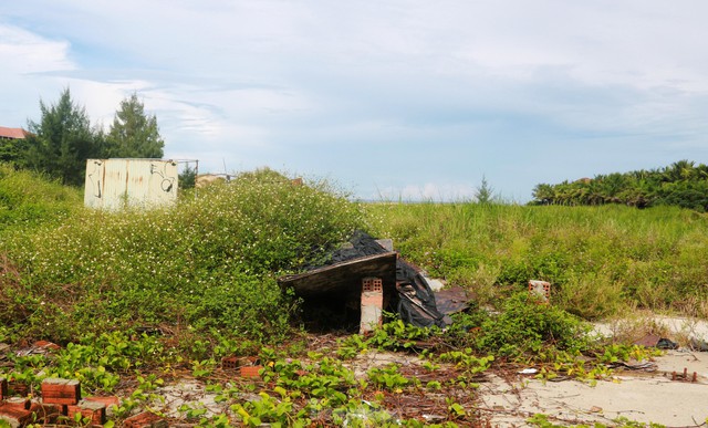 Những dự án ôm đất vàng rồi bỏ hoang ở Đà Nẵng - Ảnh 6.