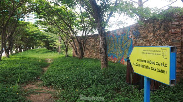 Những dự án ôm đất vàng rồi bỏ hoang ở Đà Nẵng - Ảnh 7.