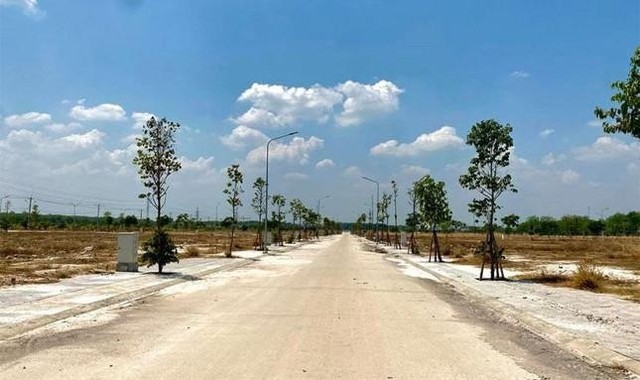 Thu hồi 1.500ha đất triển khai hàng chục dự án ở Bình Thuận - Ảnh 1.