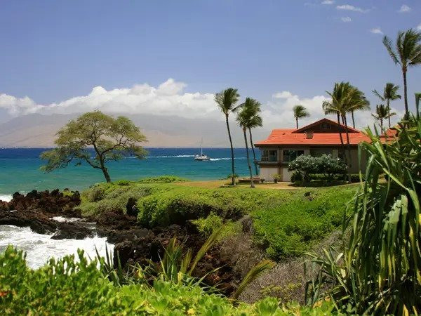 Cách chơi không có gì ngoài tiền: Jeff Bezos, Mark Zuckerberg, Larry Ellison đua nhau mua đất Hawaii để nghỉ dưỡng - Ảnh 3.