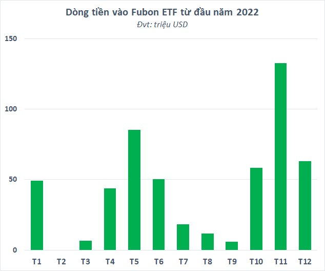 Hơn 2.000 tỷ đồng chờ quỹ Fubon ETF giải ngân vào chứng khoán Việt, cổ phiếu nào sẽ được gom mạnh?  - Ảnh 2.