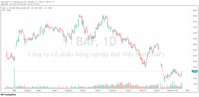 Công ty của Chủ tịch Trương Sỹ Bá đăng ký mua gần 5 triệu cổ phiếu BAF, các thành viên HĐQT muốn bán - Ảnh 1.