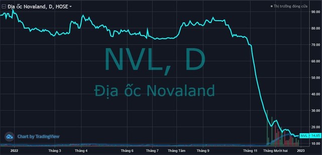 Không bán hết 150 triệu cổ phiếu Novaland (NVL) đăng ký, NovaGroup vẫn thu về hơn 2.000 tỷ đồng - Ảnh 1.