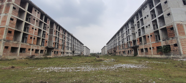 Ninh Bình chỉ đạo 'nóng' dự án đại học trăm tỷ bỏ hoang cả chục năm - Ảnh 2.