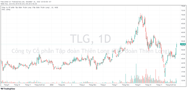 Tập đoàn Thiên Long (TLG) chốt danh sách trả cổ tức bằng tiền tỷ lệ 15% - Ảnh 1.