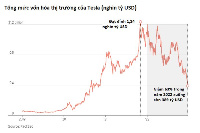 Tesla chịu đòn khi nhu cầu xe điện của Mỹ sụt giảm, thổi phồng bởi những lời hứa của Elon Musk - Ảnh 1.