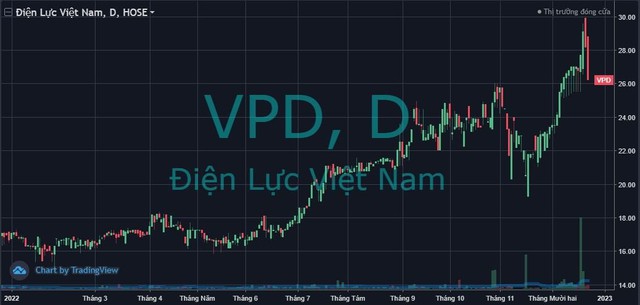Một tổ chức nước ngoài tạm mất gần trăm tỷ đồng sau 2 ngày là cổ đông lớn của VPD - Ảnh 1.