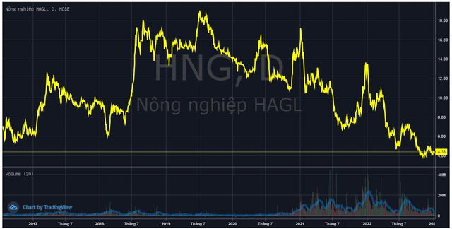 HAGL Agrico (HNG) xin gia hạn nộp BCTC quý IV/2022 - Ảnh 1.
