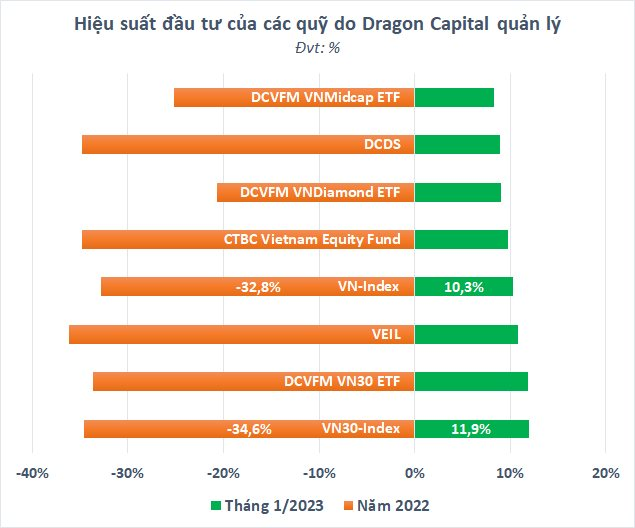 Dragon Capital đang đầu tư vào thị trường chứng khoán Việt Nam như thế nào?  - Ảnh 2.
