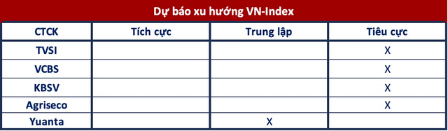 Góc nhìn công ty chứng khoán: Xu hướng giảm tiếp diễn, VN-Index có thể lùi về mốc 1.000 điểm - Ảnh 1.