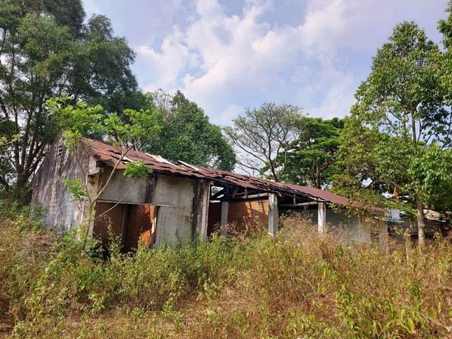 Hàng loạt khu đất 'vàng' ở Gia Lai bị bỏ hoang - Ảnh 6.