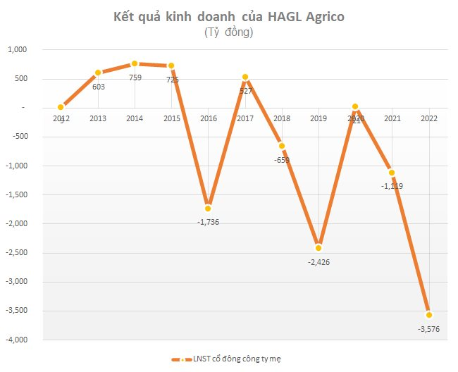 HAGL Agrico (HNG) bị HoSE đưa vào diện kiểm soát - Ảnh 1.