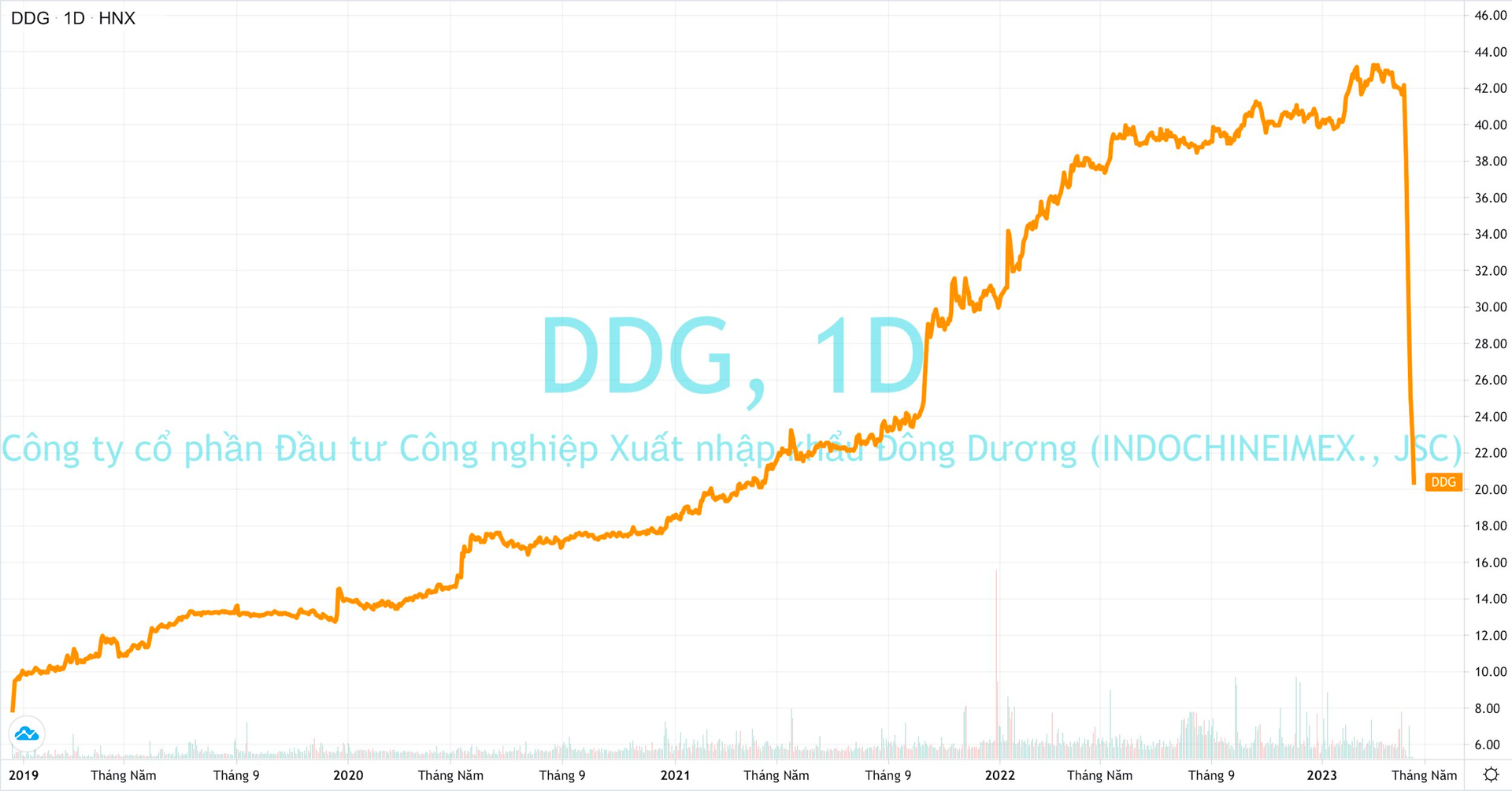 Cổ phiếu DDG chia đôi, vốn hóa 