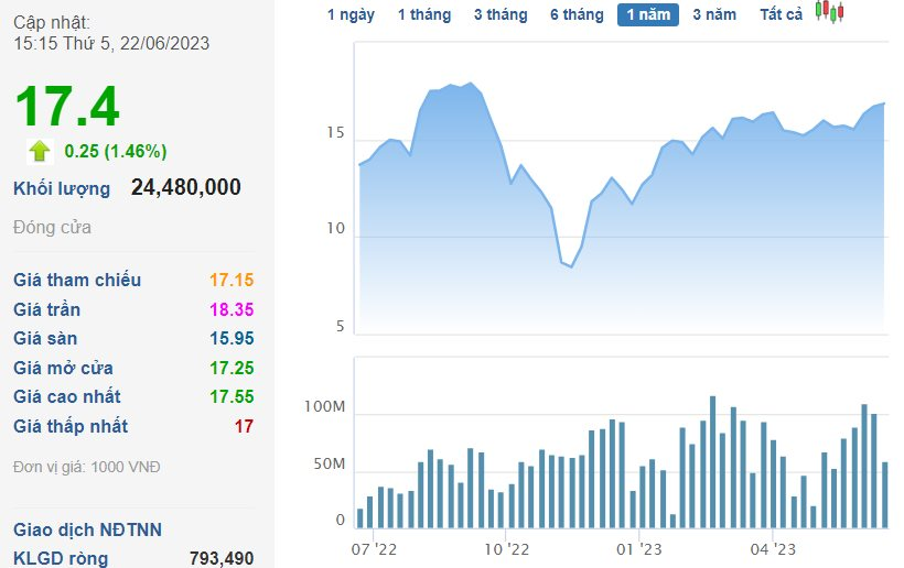 Dragon Capital tiếp tục gom thêm cổ phiếu Hoa Sen (HSG) trước khi chốt quyền trả cổ tức - Ảnh 1.