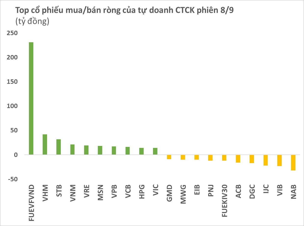 Phiên 8/9: CTCK tiếp tục mua hơn 340 tỉ đồng, tập trung chứng chỉ quỹ - Ảnh 1.