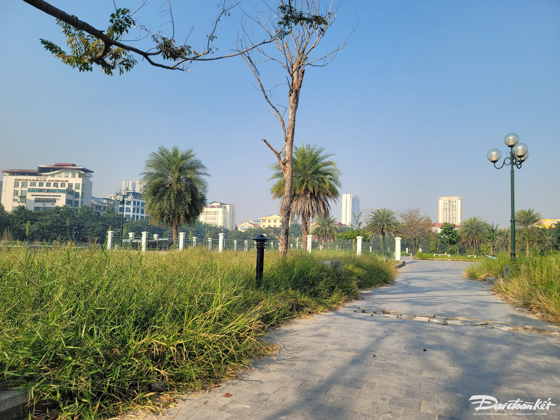 Hà Nội: Công viên hồ tối về đêm, cỏ mọc um tùm, rác bẩn - Ảnh 4