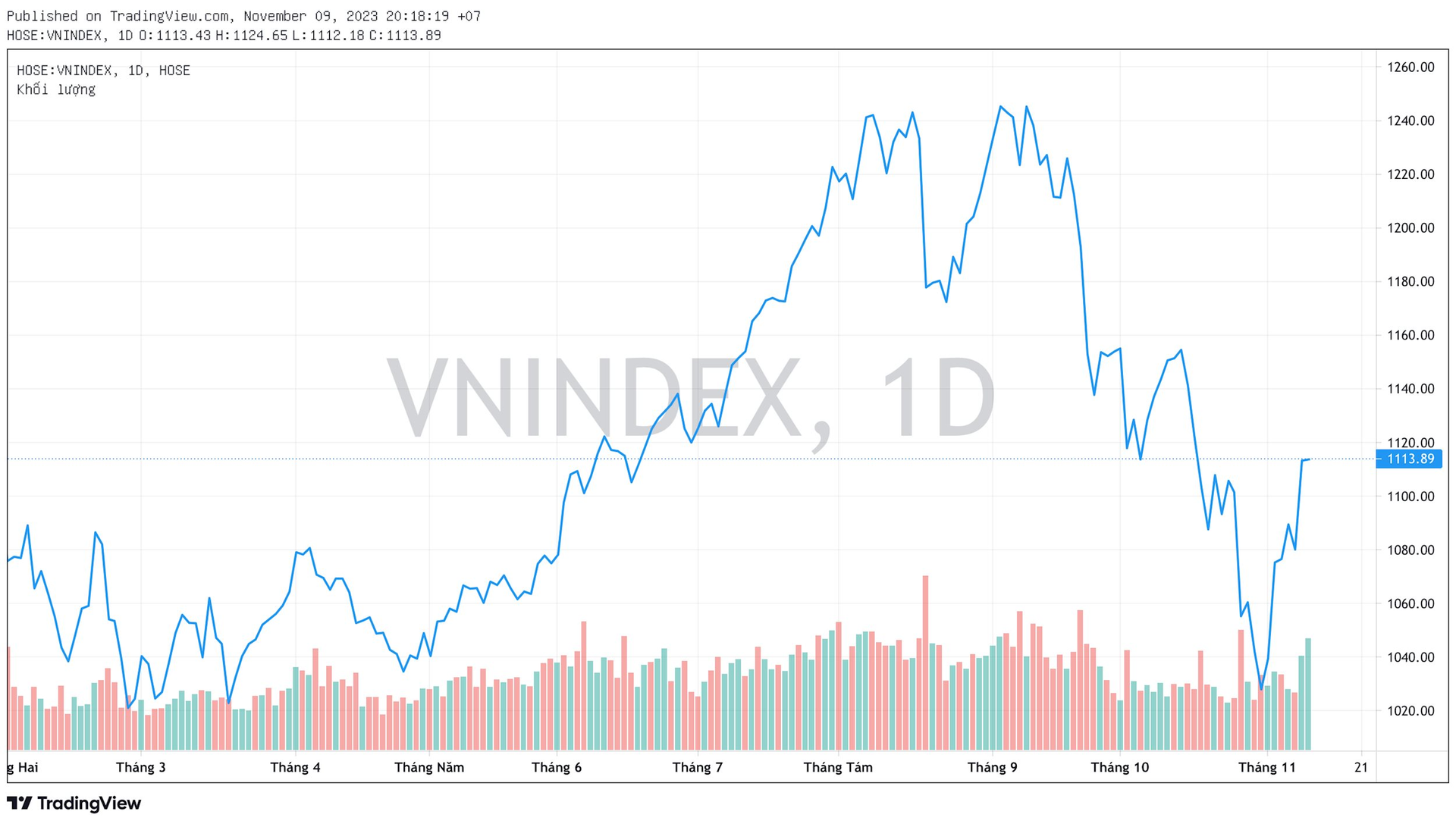 DSC: VN-Index khó có khả năng hồi phục theo hình chữ V, chứng kiến ​​nhịp rung giải ngân 2 nhóm cổ phiếu - Ảnh 1.