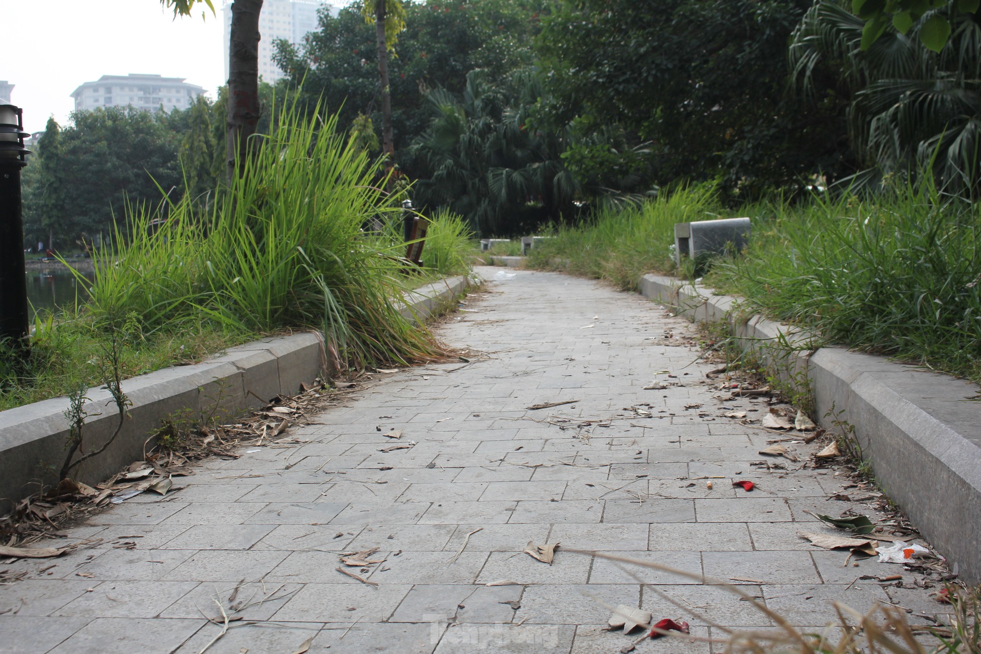 Công viên xấu trị giá hàng trăm tỷ nằm giữa hai quận ở Hà Nội - Ảnh 8.