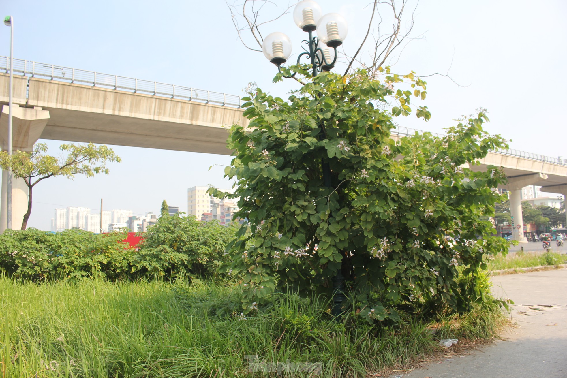 Công viên xấu trị giá hàng trăm tỷ nằm giữa hai quận ở Hà Nội - Ảnh 15