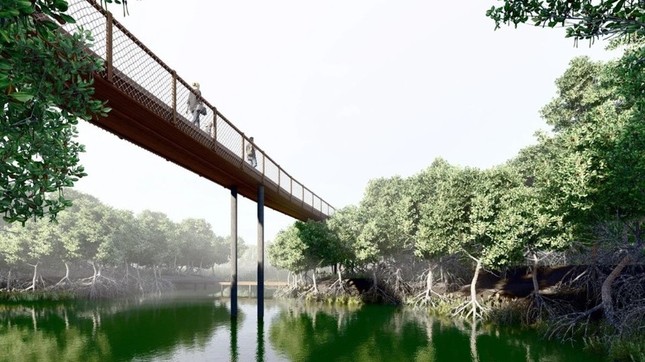 Bình Thuận bỏ dự án bất động sản để xây khu sinh thái - Ảnh 2