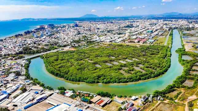 Bình Thuận bỏ dự án bất động sản để xây khu công viên sinh thái - Ảnh 1